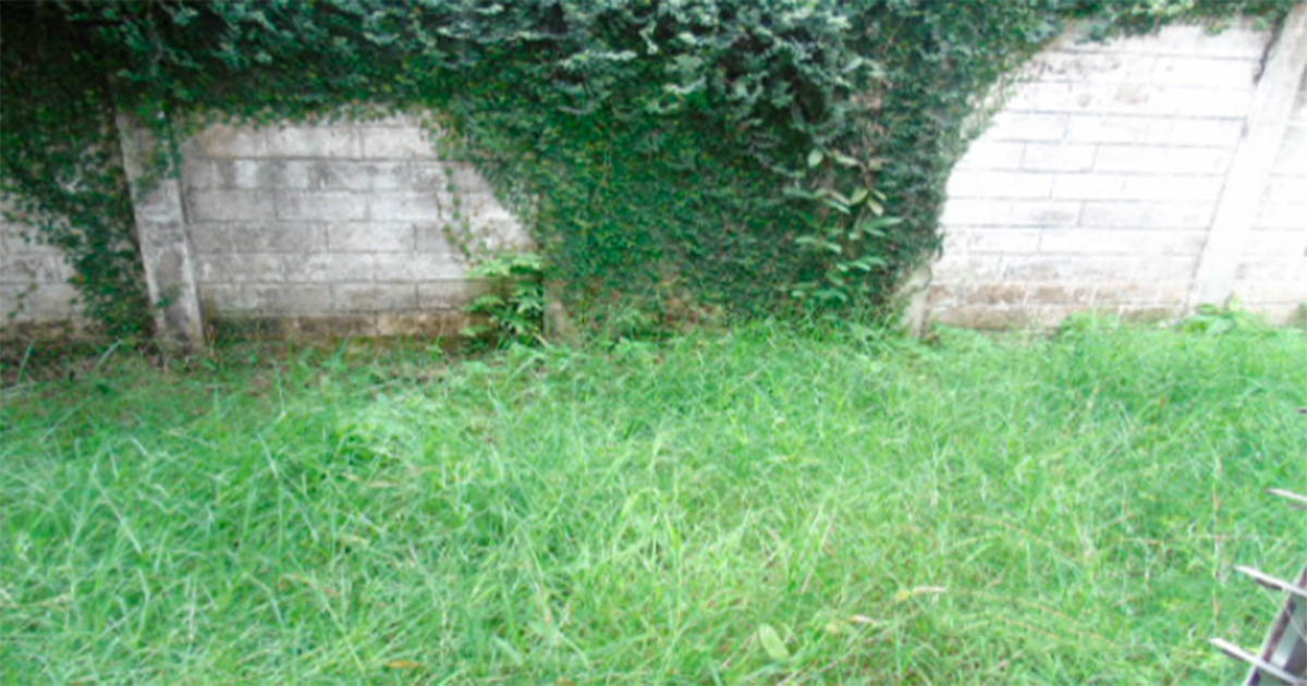 Venta de Casa o Casas, Terrenos, Propiedades, Apartamentos, Inmuebles en Guatemala, zona 11, zona 7, zona 2, zona 18, zona 16, Mixco, Carretera Al Salvador, Fraijanes, Santa Catarina Pinula, Antigua Guatemala, Villa Nueva, Villa Canales, San Miguel Petapa - Venta o Alquiler de Casas En Guatemala